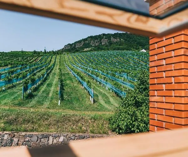 Obester Panzio Konukevi Badacsonytomaj