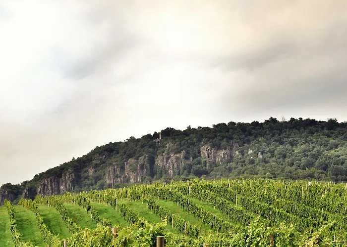 Obester Panzio Badacsonytomaj