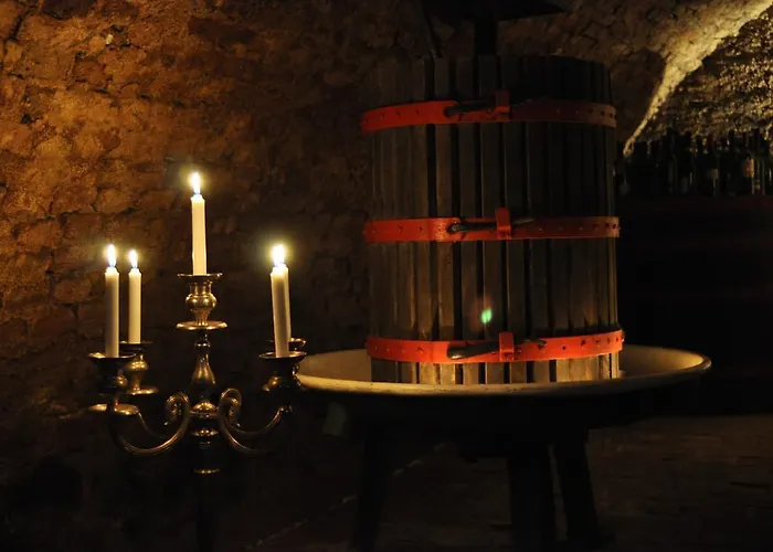 Obester Panzio Konukevi Badacsonytomaj